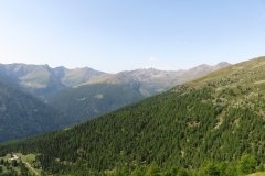 IMG_0066