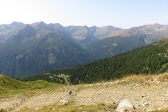 IMG_0085
