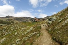 IMG_0104