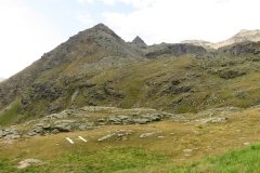 IMG_0108