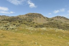 IMG_0119