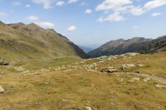 IMG_0124