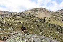 IMG_0139
