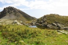 IMG_0164