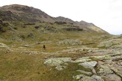 IMG_0207