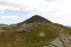 IMG_0220