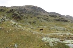 IMG_0225