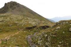 IMG_0230