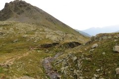 IMG_0232