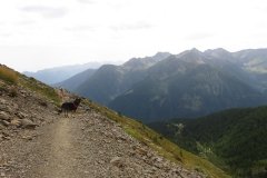 IMG_0242
