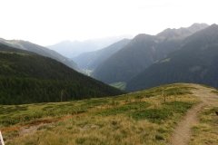 IMG_0251