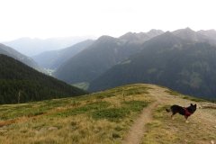 IMG_0252
