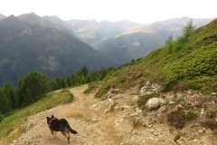 IMG_0264