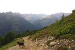IMG_0268