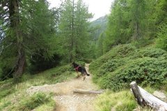 IMG_0270