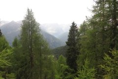 IMG_0275