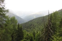 IMG_0278