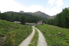 IMG_0286