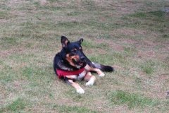 IMG_0295