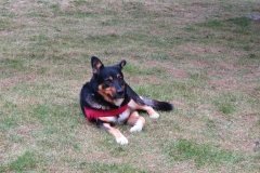 IMG_0296