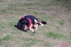 IMG_0297