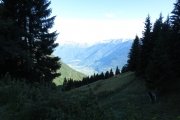 IMG_0003