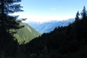 IMG_0006