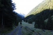 IMG_0008