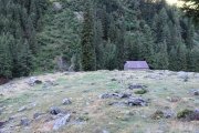 IMG_0009