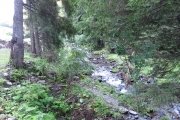 IMG_0015