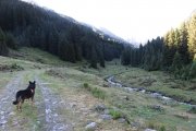 IMG_0026