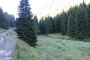IMG_0028