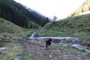 IMG_0033