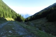IMG_0039