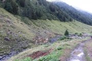 IMG_0041