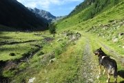 IMG_0047