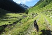 IMG_0050