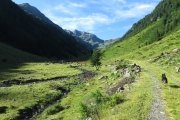 IMG_0052