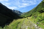 IMG_0061