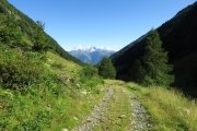 IMG_0065