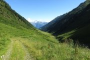 IMG_0068