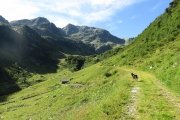 IMG_0070