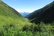 IMG_0071