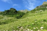 IMG_0092