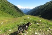 IMG_0094