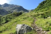 IMG_0100