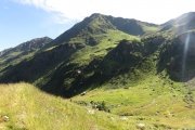 IMG_0101