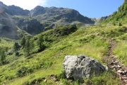 IMG_0108