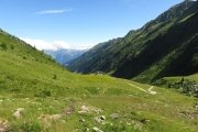 IMG_0115