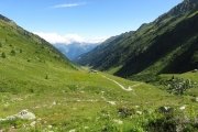 IMG_0117